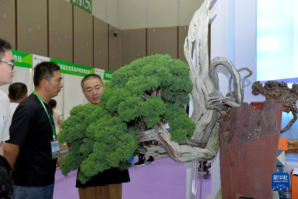 亚洲真人赌博